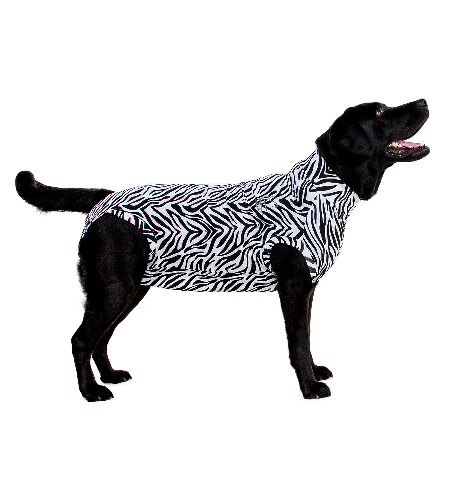 elleboog Kennis maken Omgekeerd Medical Pet Shirt (Hond / Zebraprint)