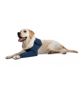 Medical Pet Shirt MPS-TAZ Enkele Hond