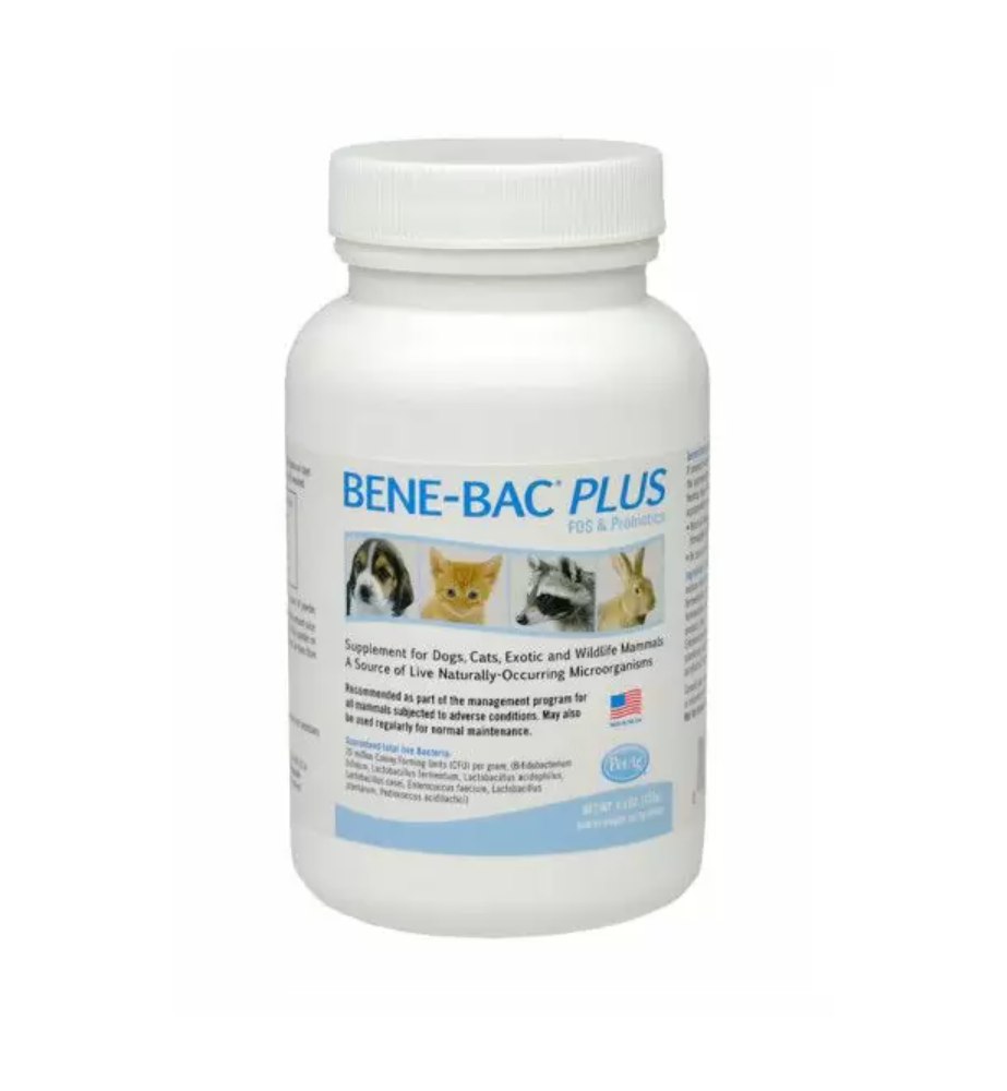 Bene-Bac Plus Pet Powder