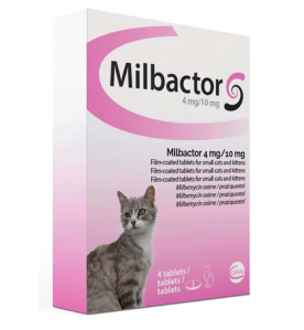 Milbactor Kleine Kat / Kitten (- 2kg) - 4 tab