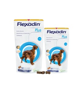 Flexadin Plus Maxi (+ 10 kg) 30 chews