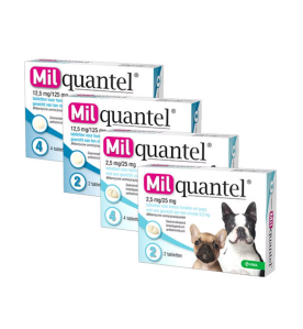 Milquantel Kleine Hond - 2.5 mg / 25 mg (0.5 t/m 10 kg) - 2 tabletten