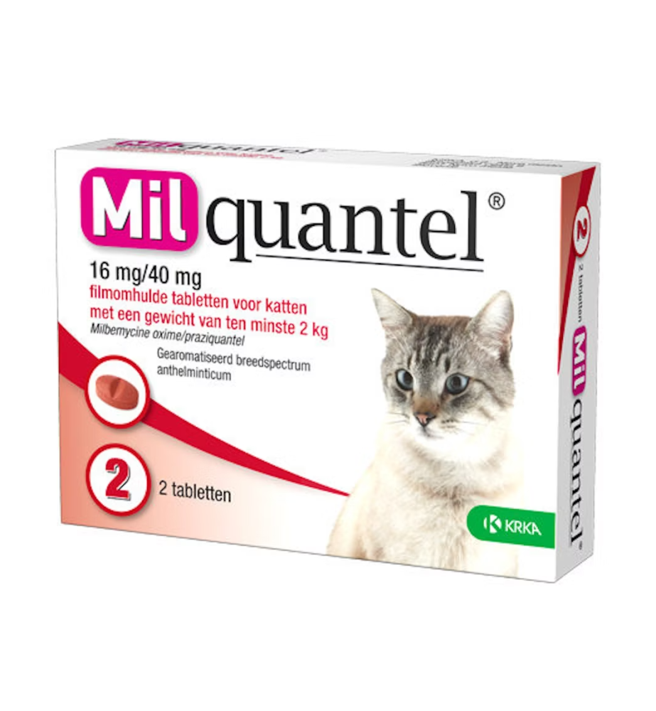 Milquantel Grote Kat - 16 mg / 40 mg (4 t/m 12 kg) - 2 tabletten