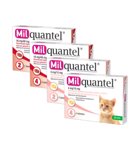 Milquantel Grote Kat - 16 mg / 40 mg (4 t/m 12 kg) - 2 tabletten