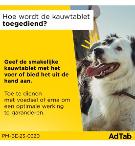 AdTab Hond (2.5 t/m 5.5 kg) - 3 tabletten