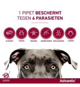 Advantix Kleiner dan 4 kg - 40/200 - 4 pip