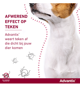 Advantix 4 t/m 10 kg - 100/500