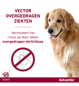 Advantix 40 t/m 60 kg - 600/3000