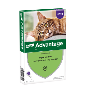 Advantage 80 Kat Groter dan 4 kg - 4 pipetten